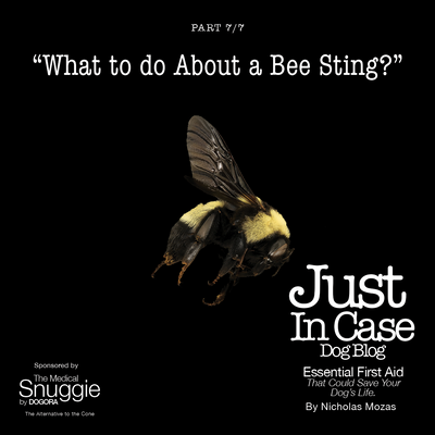 What to do About a Bee Sting?