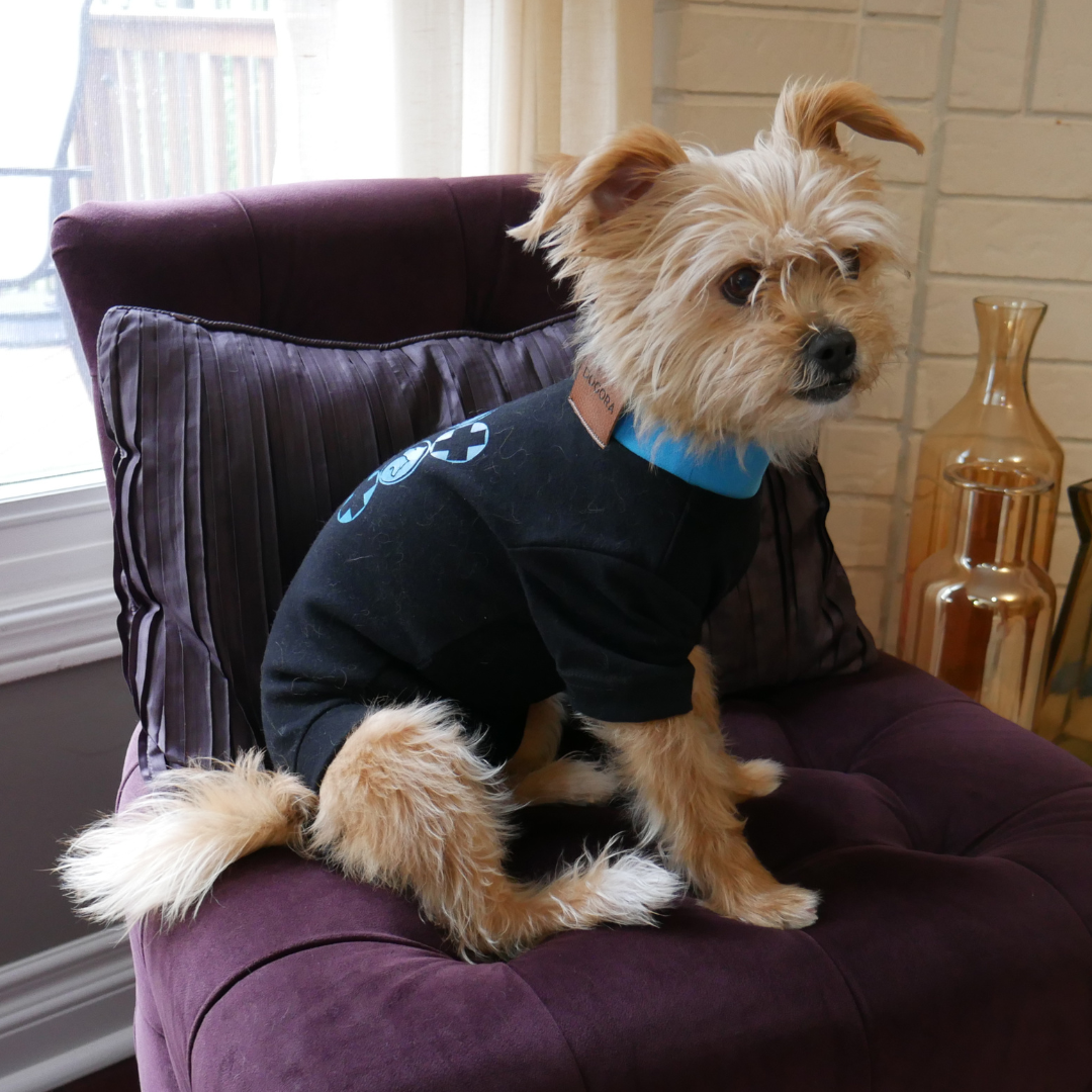 Seasons Veterinary Clinic