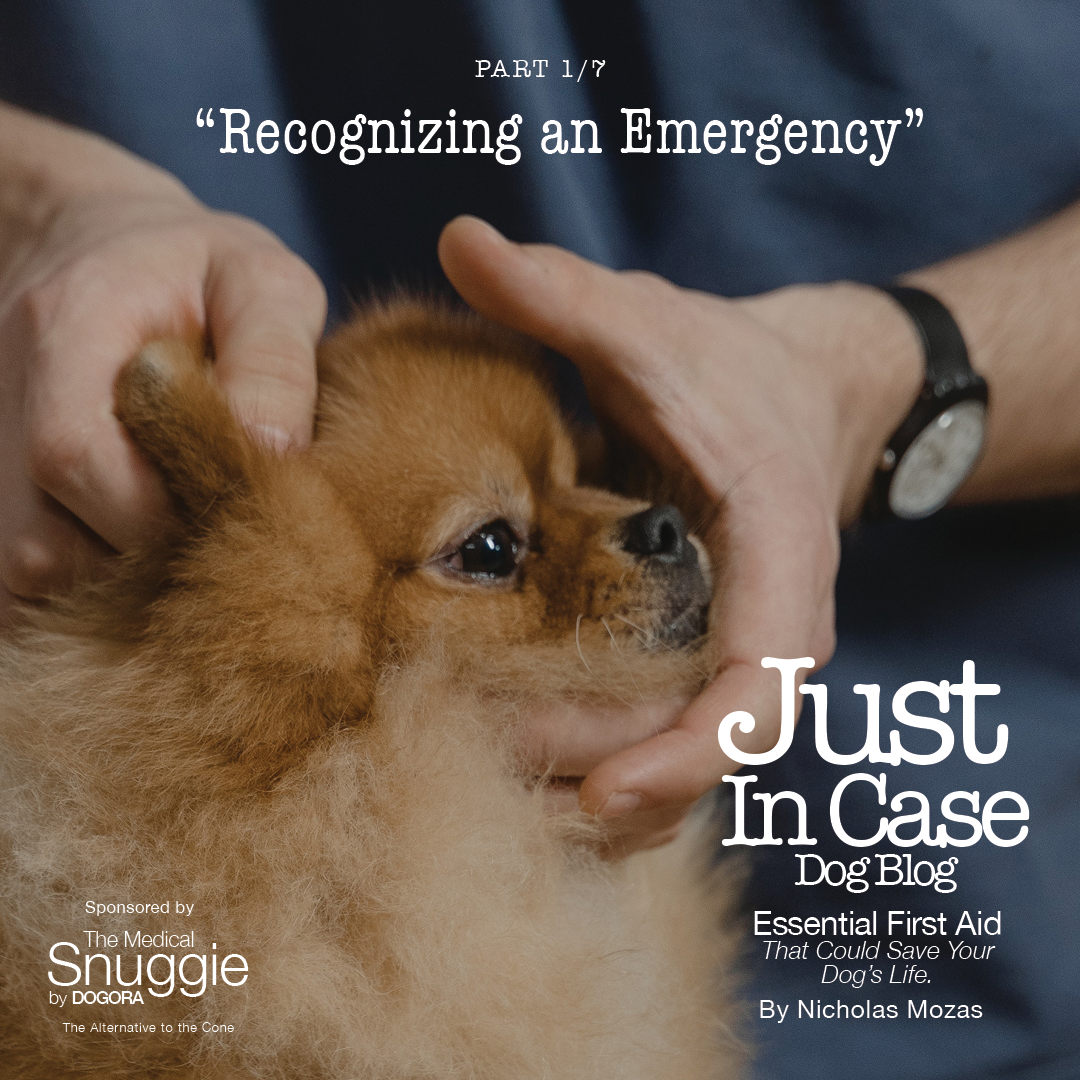 Recognizing an Emergency - Part One