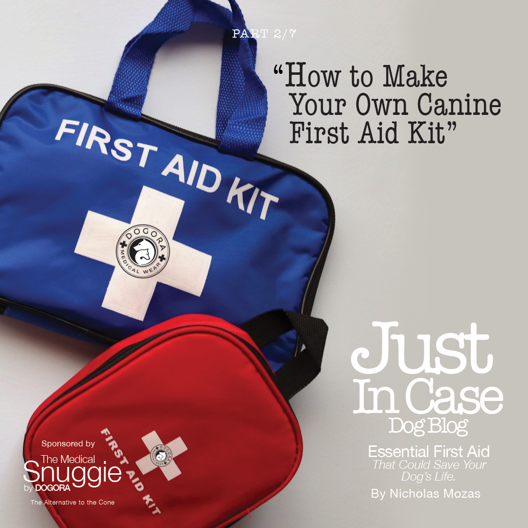 Essential First Aid That Could Save Your Dog’s Life – Part Two
