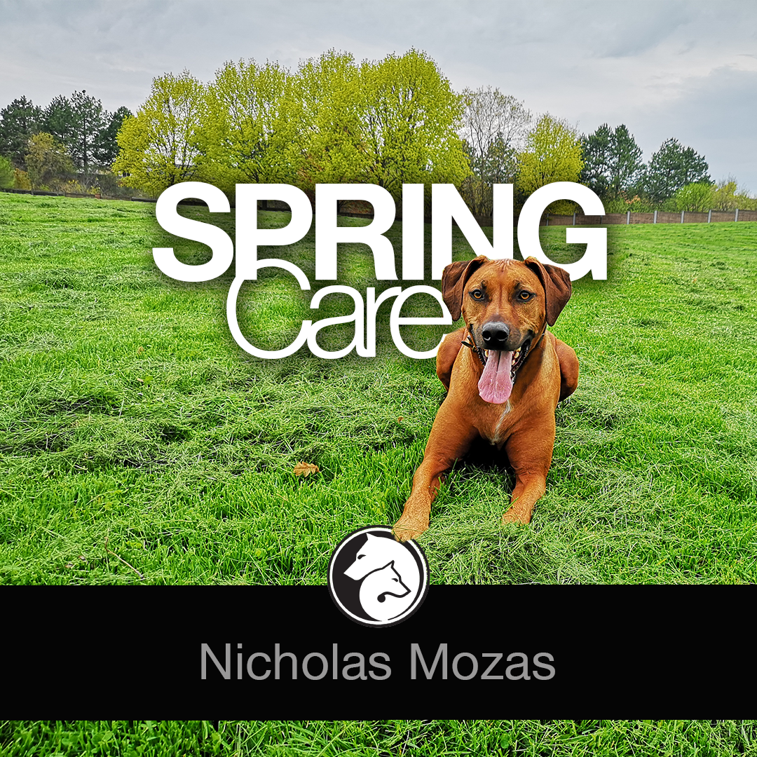 Spring Care