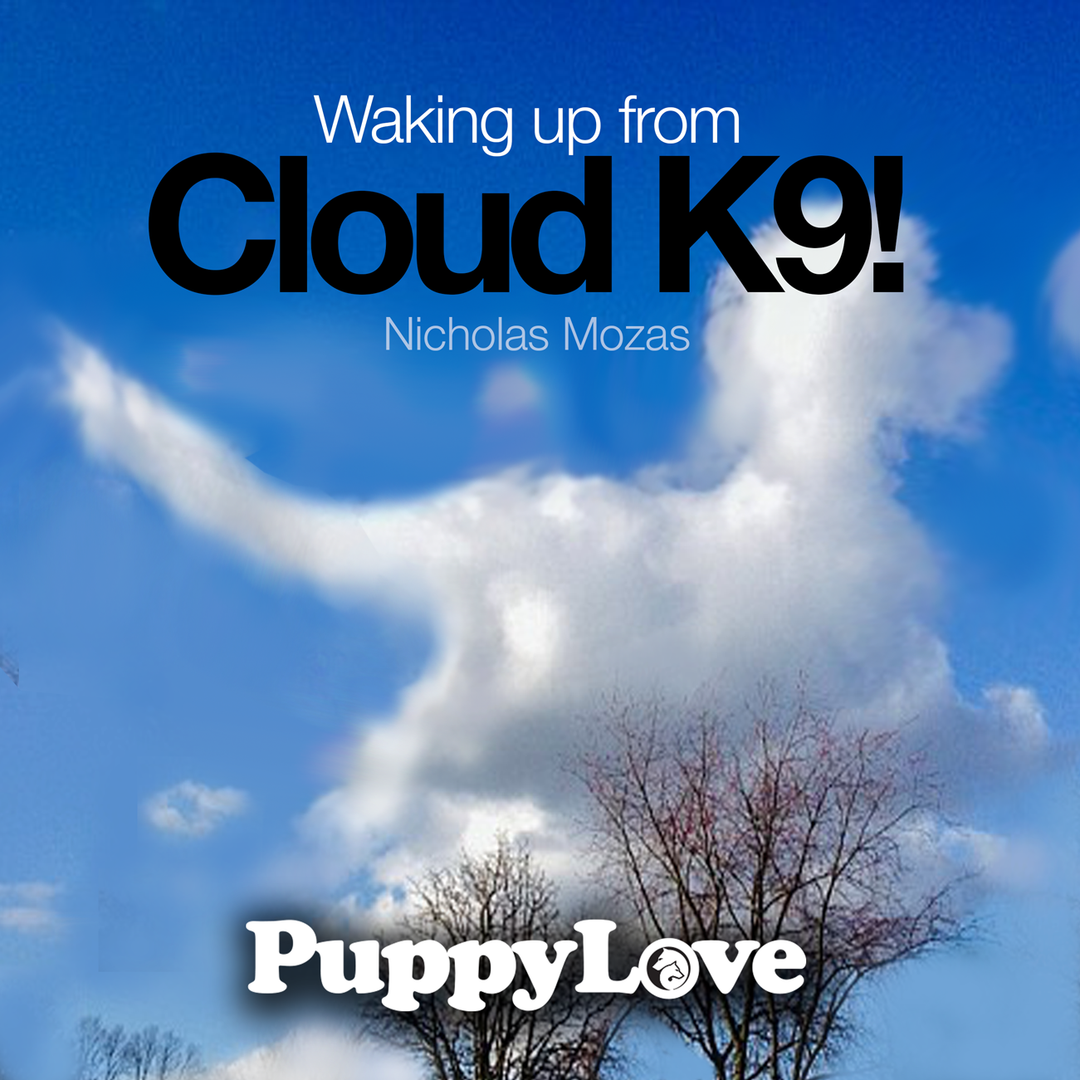 Waking up From Cloud K9!