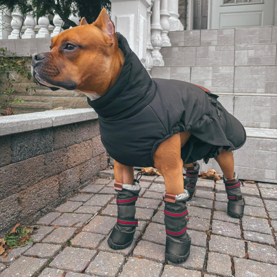 High Top Boots "Stay-On" Technology