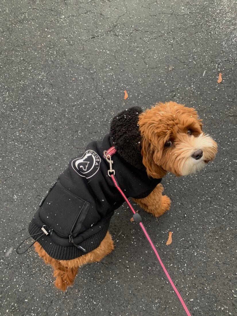 Chilly Dogs Canada Goose Dog Jacket Usa USA Camo Dog Jacket Parka