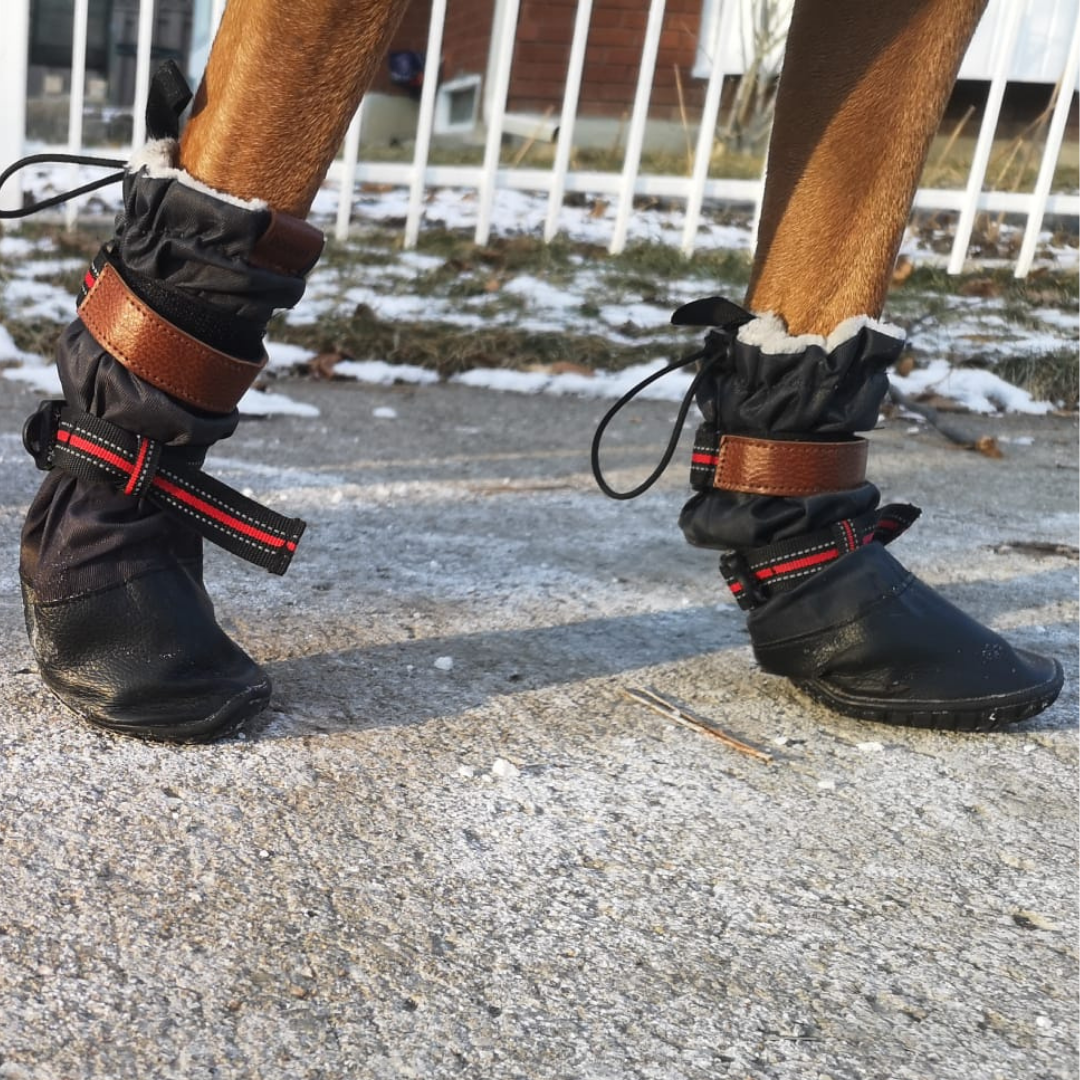 Dog Boots That Stay On DOGORA