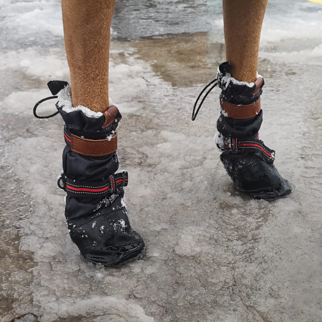 Dog Boots That Stay On DOGORA