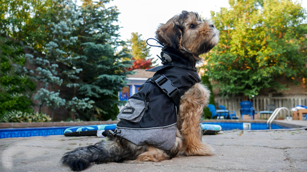 Dog Rain Coat – DOGORA