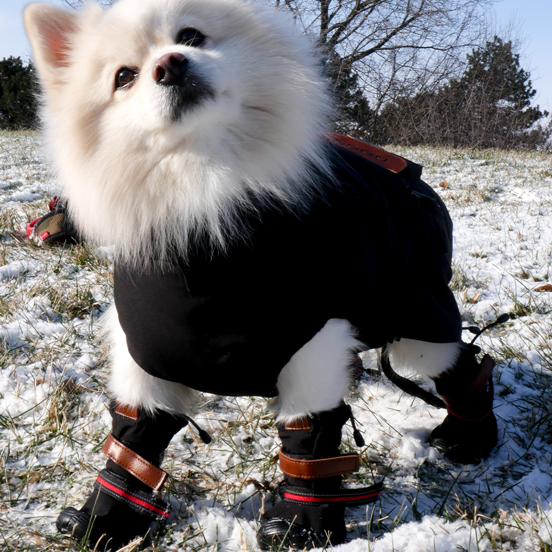 Heated Dog Coat DOGORA