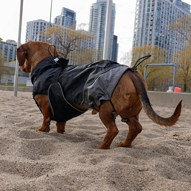 Trench Coat