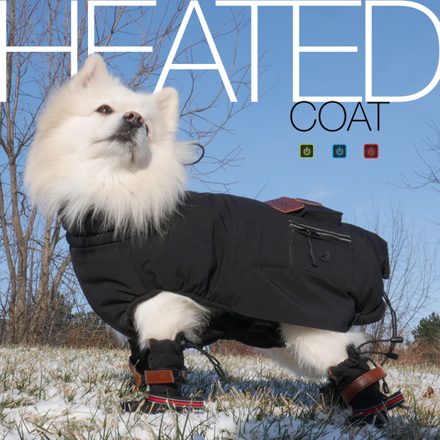 Fluffy dog coat hot sale