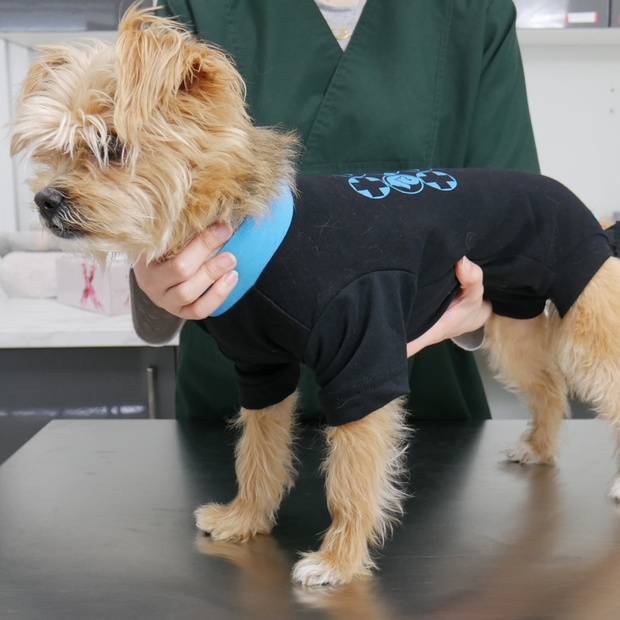 Aldergrove Animal Hospital Custom