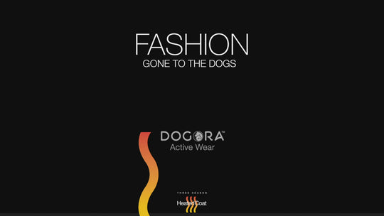 Ultimate Doggie Bag